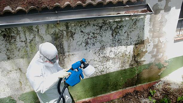Top rated local Crawl Space Mold Removal specialists in Loretto, PA